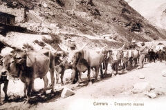 am trasporto marmi