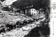 as trasp. marmi poggio della Piastra